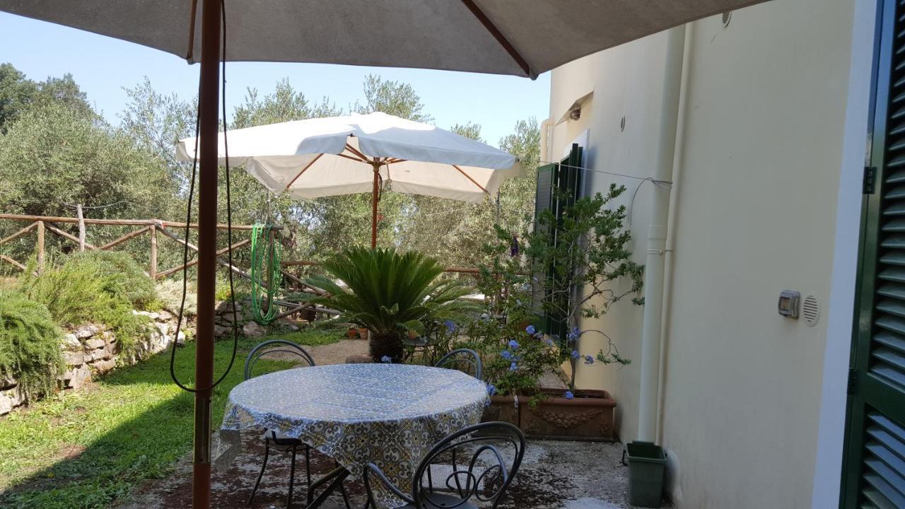 Gli Ulivi Agriturismo Сант'Анджелло Экстерьер фото