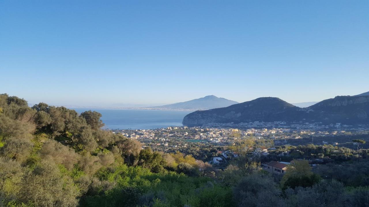 Gli Ulivi Agriturismo Сант'Анджелло Экстерьер фото