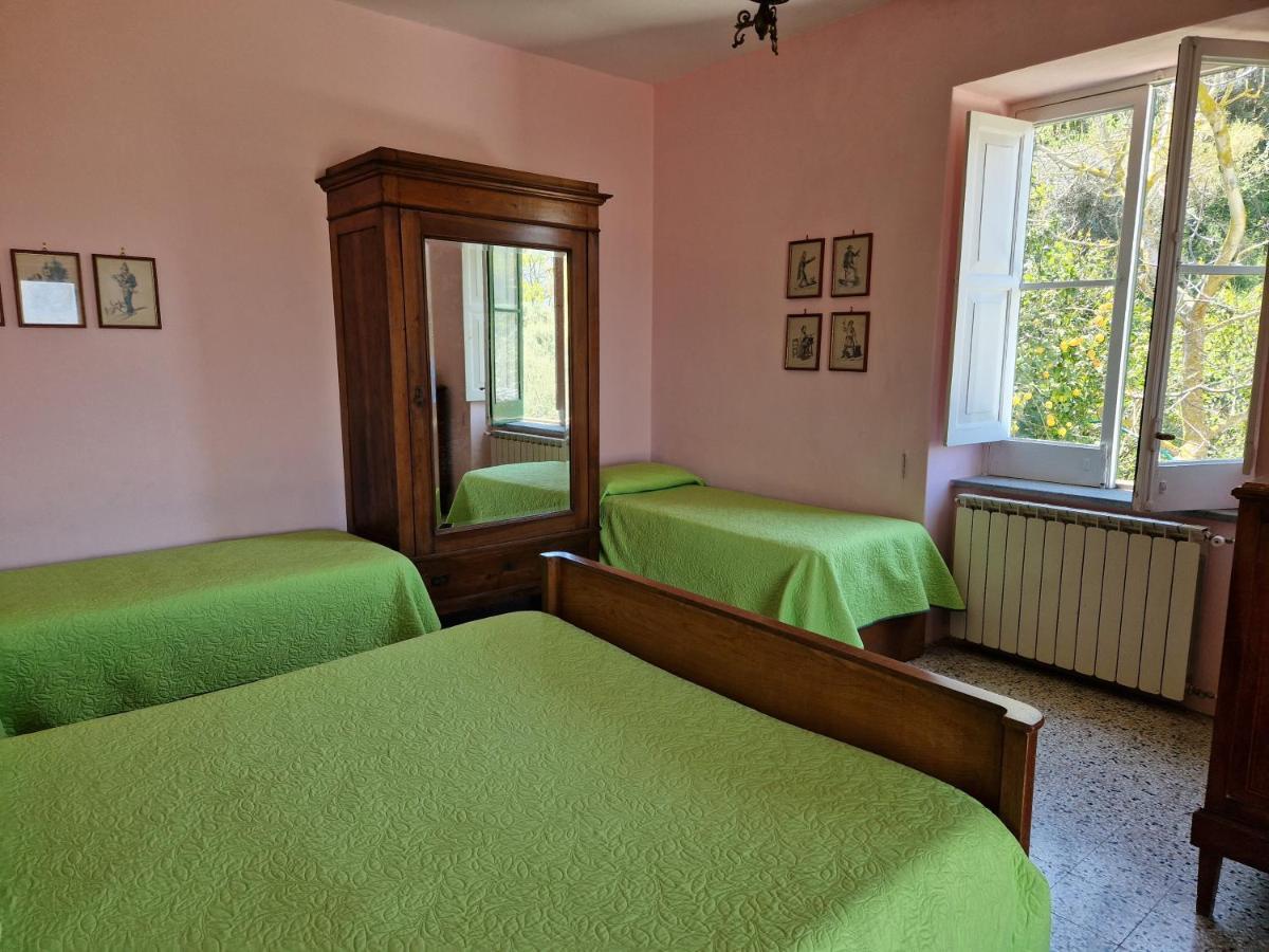 Gli Ulivi Agriturismo Сант'Анджелло Экстерьер фото