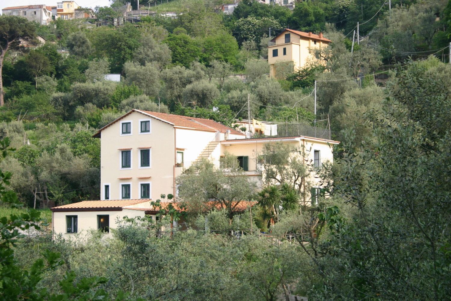 Gli Ulivi Agriturismo Сант'Анджелло Экстерьер фото