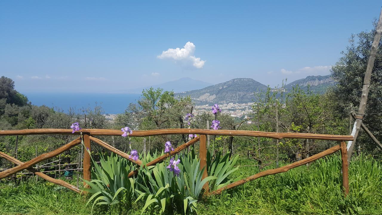 Gli Ulivi Agriturismo Сант'Анджелло Экстерьер фото