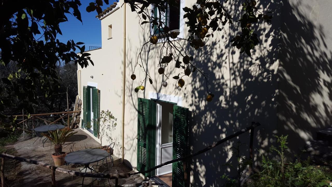 Gli Ulivi Agriturismo Сант'Анджелло Экстерьер фото