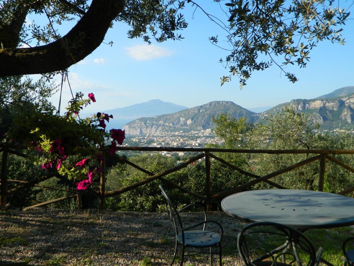 Gli Ulivi Agriturismo Сант'Анджелло Экстерьер фото