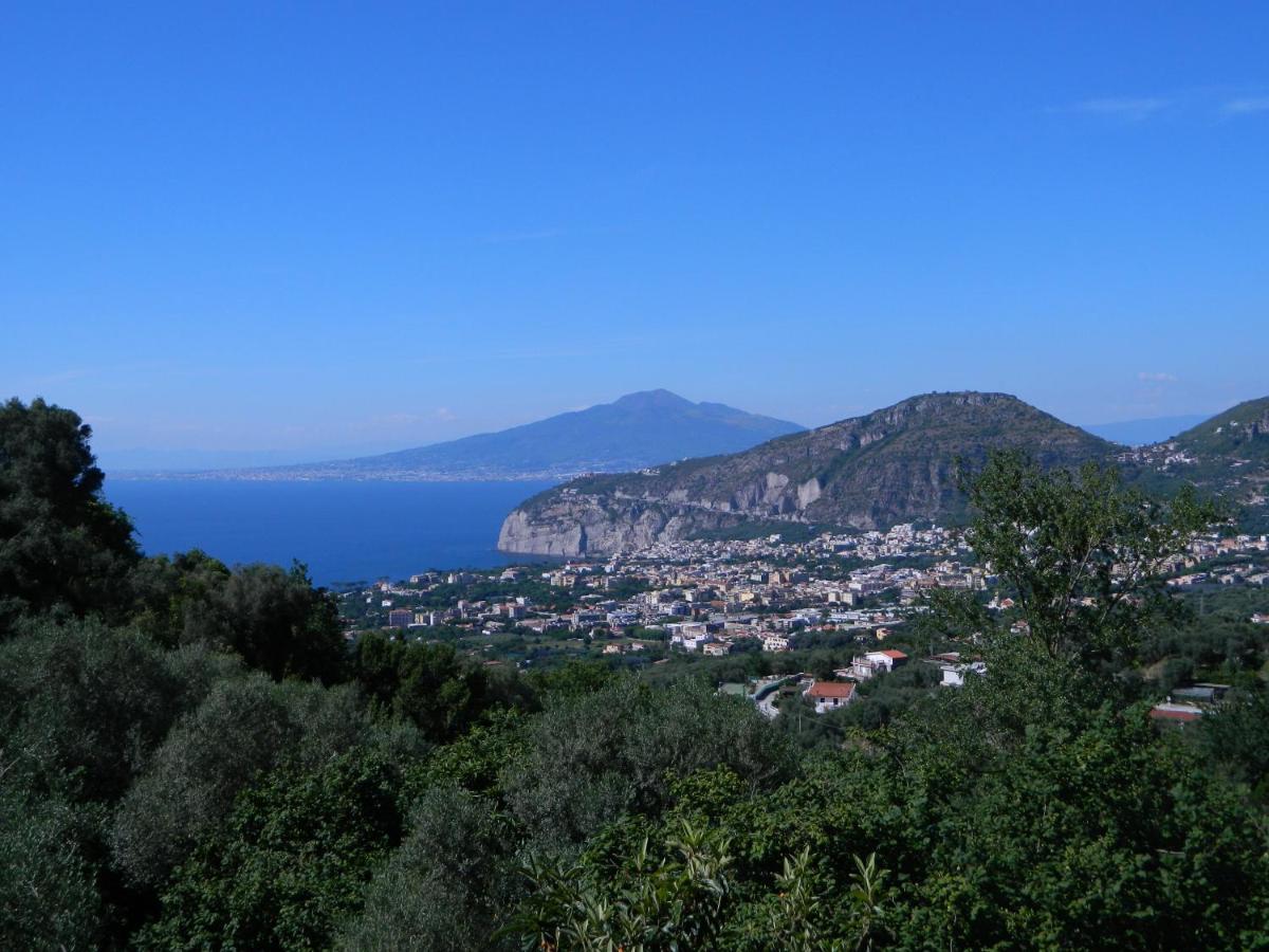 Gli Ulivi Agriturismo Сант'Анджелло Экстерьер фото