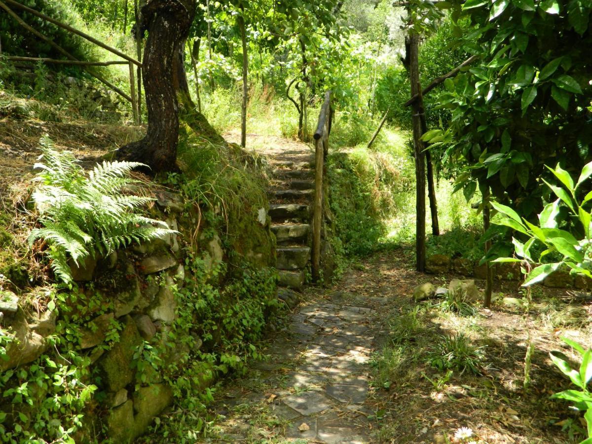 Gli Ulivi Agriturismo Сант'Анджелло Экстерьер фото